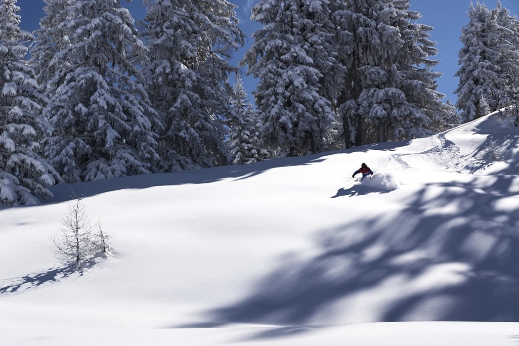 Skitour-Abfahrt im Tiefschnee nach dem Aufstieg